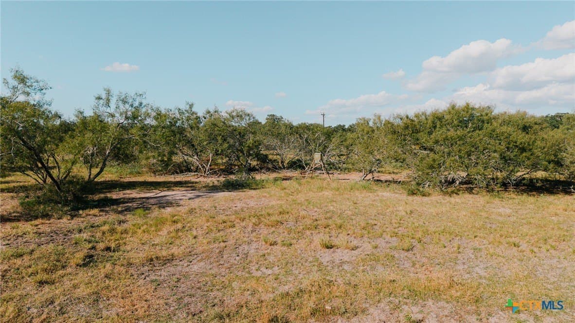 11 acres in Lavaca County - photo 22