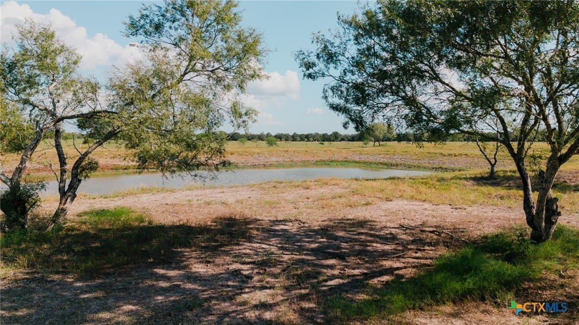 11 acres in Lavaca County - photo 3