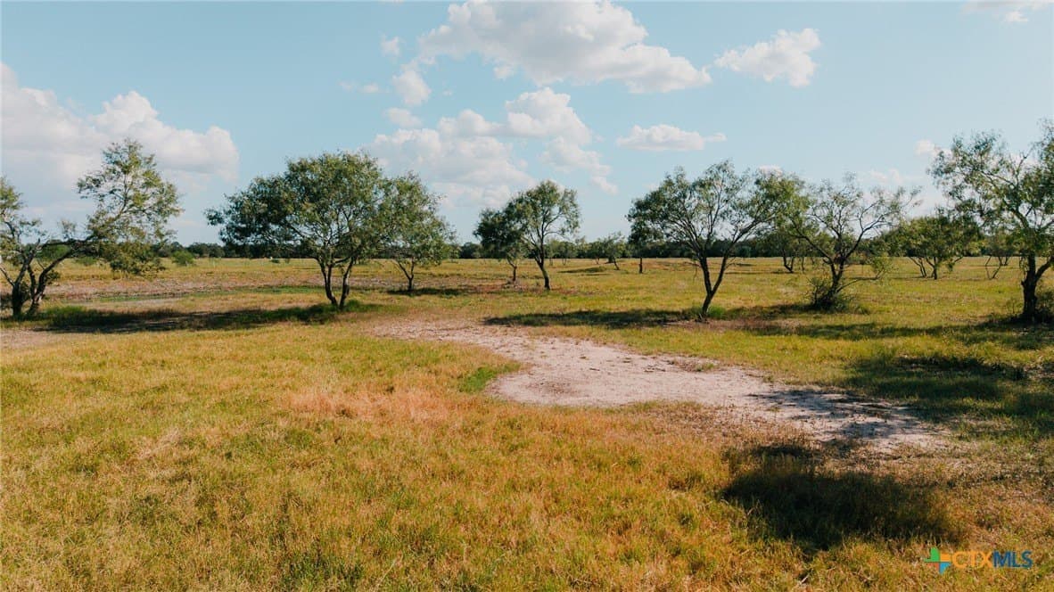 11 acres in Lavaca County - photo 24