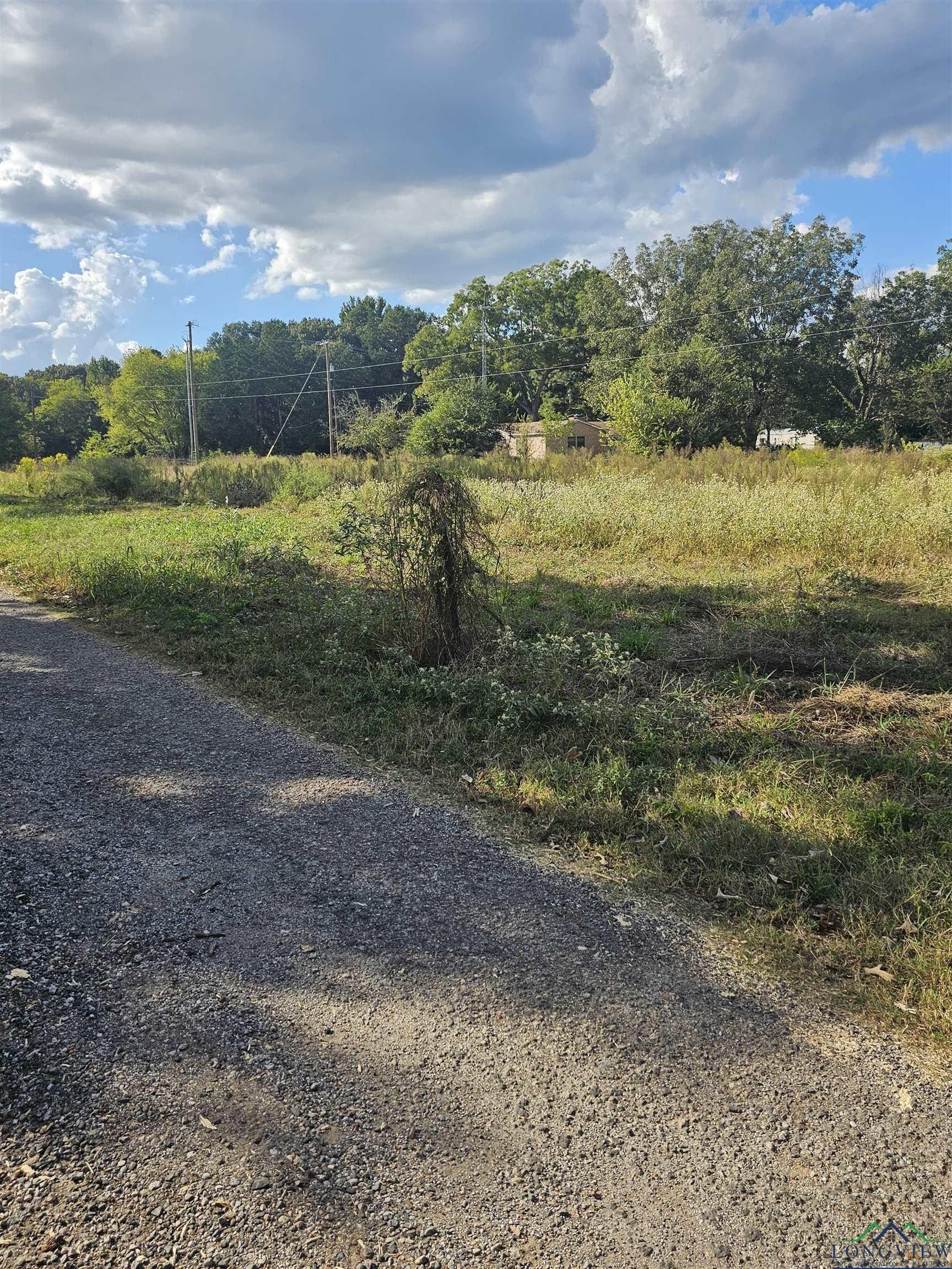 0.95 acres in Henderson County - photo 17