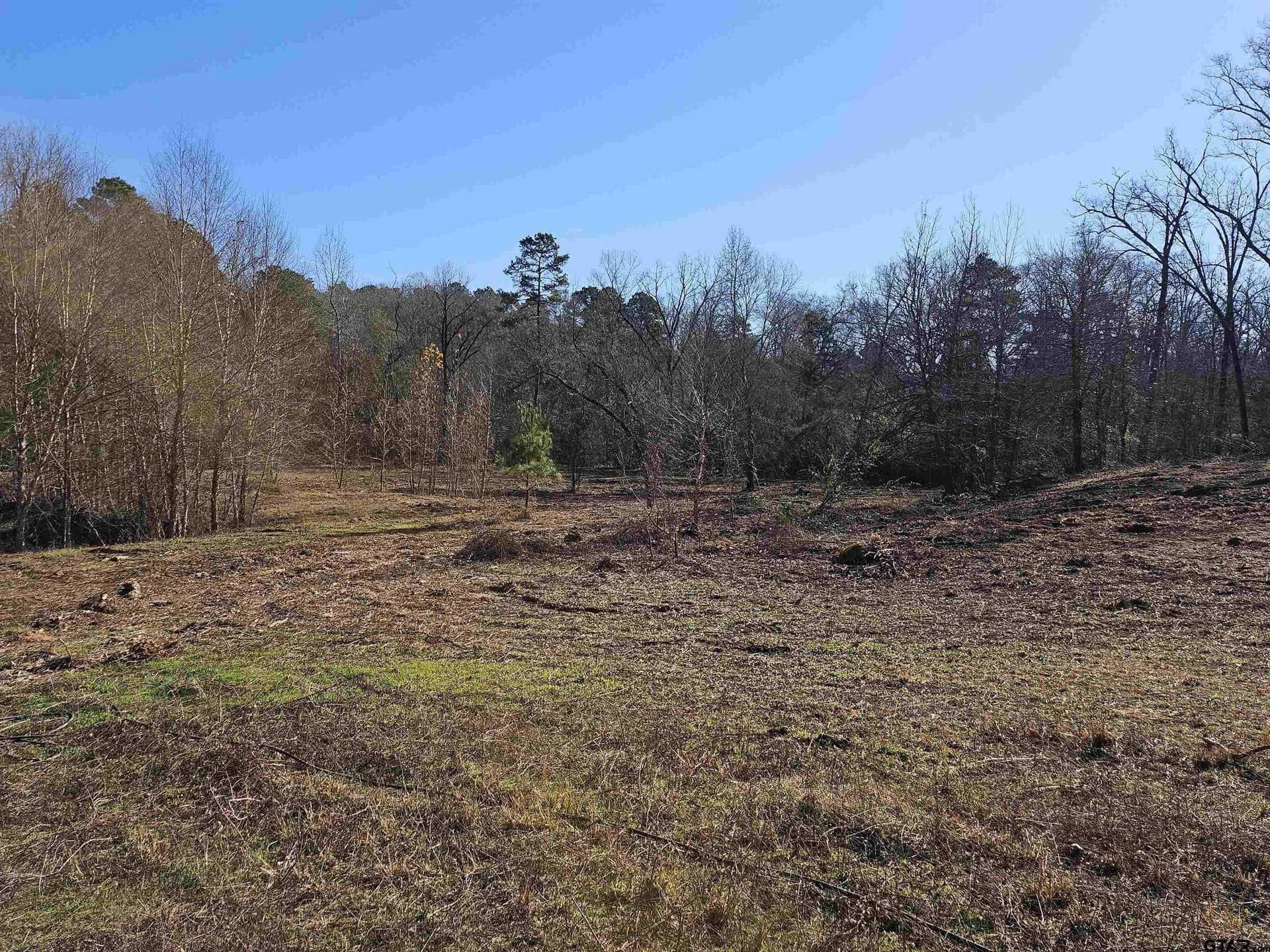 13.06 acres in Smith County - photo 9