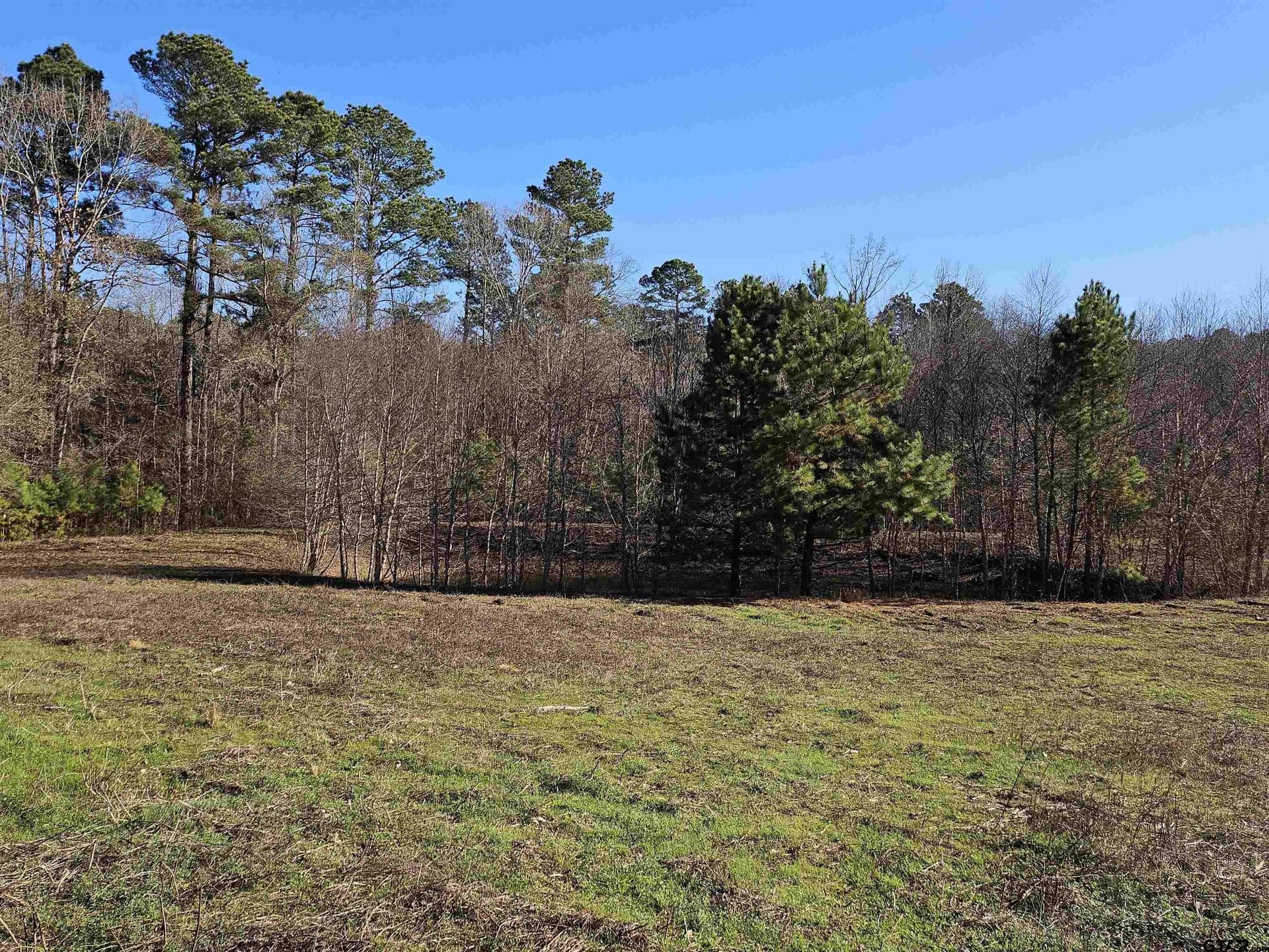 13.06 acres in Smith County - photo 7