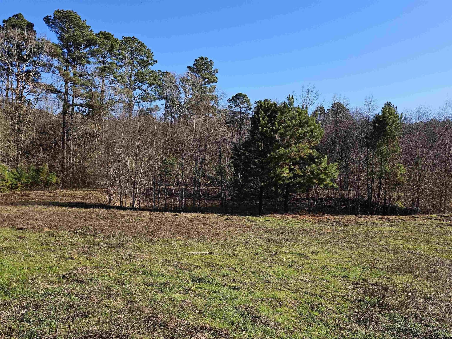 13.06 acres in Smith County - photo 8