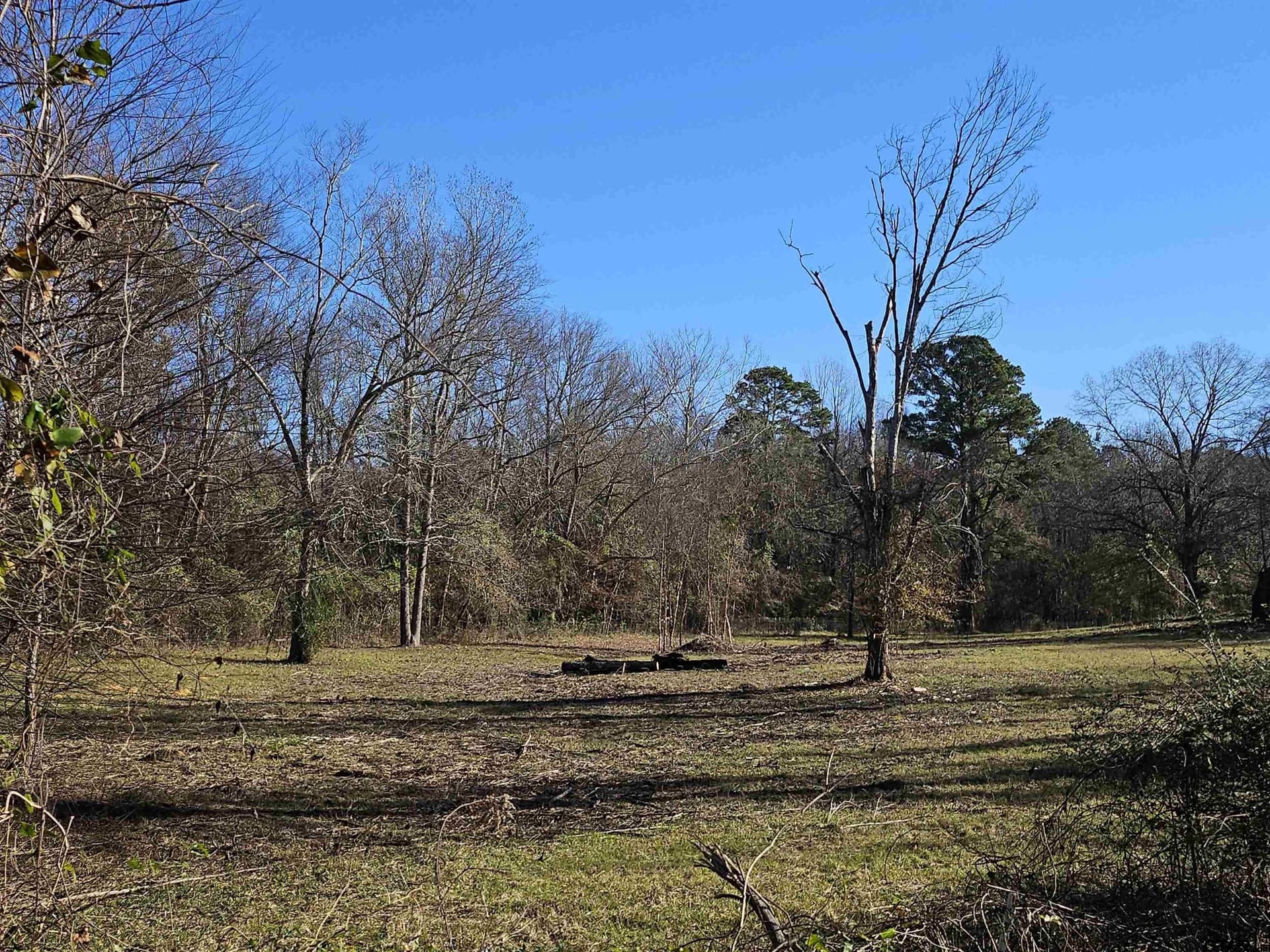 13.06 acres in Smith County - photo 5