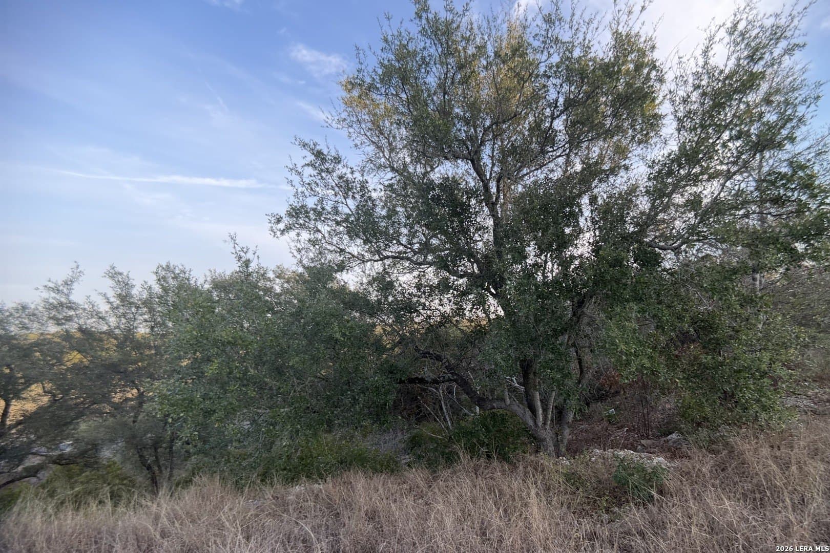 1.04 acres in Bexar County - photo 12