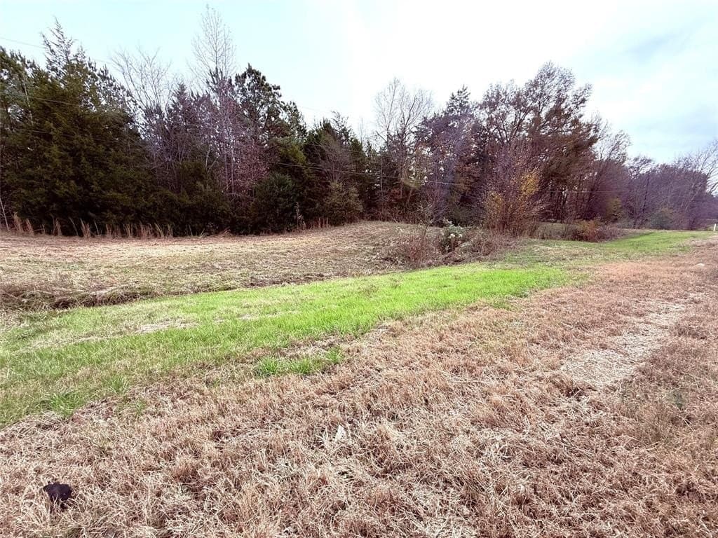 6.68 acres in Wood County - photo 2