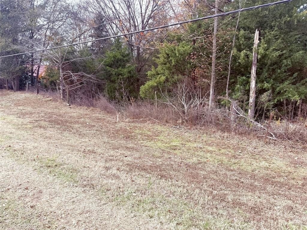 6.68 acres in Wood County - photo 3