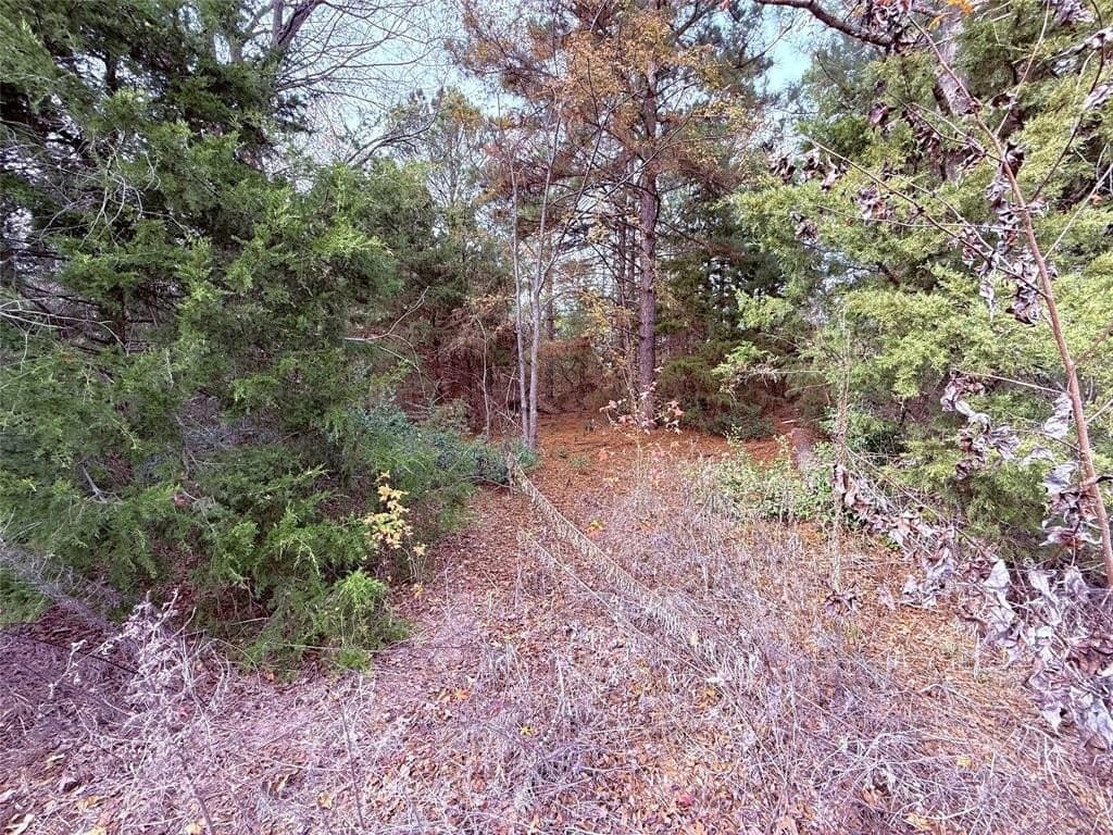 6.68 acres in Wood County - photo 4