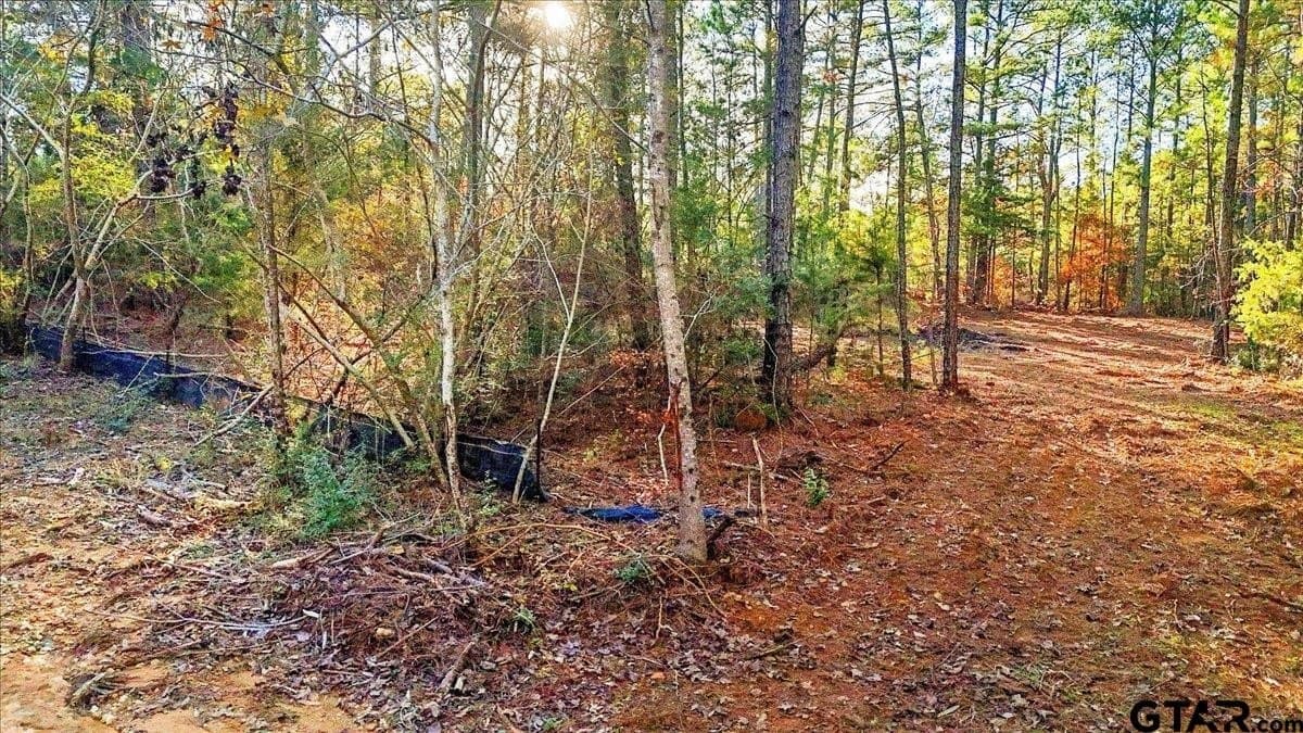 2.02 acres in Smith County - photo 27