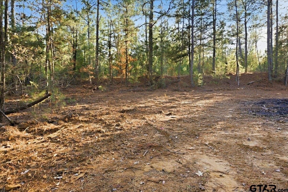 2.02 acres in Smith County - photo 7