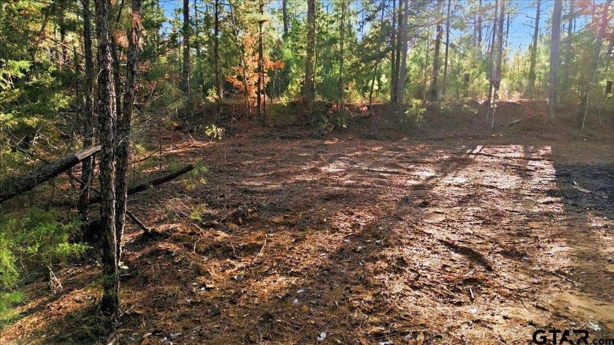 2.02 acres in Smith County - photo 11