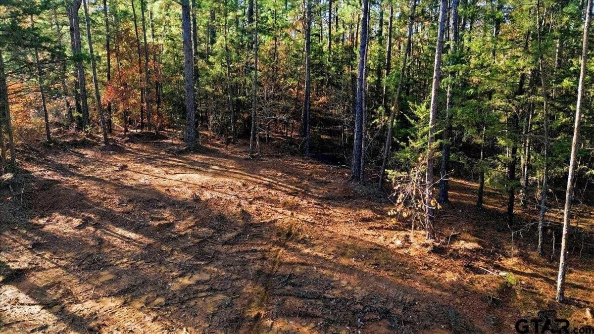 2.02 acres in Smith County - photo 20