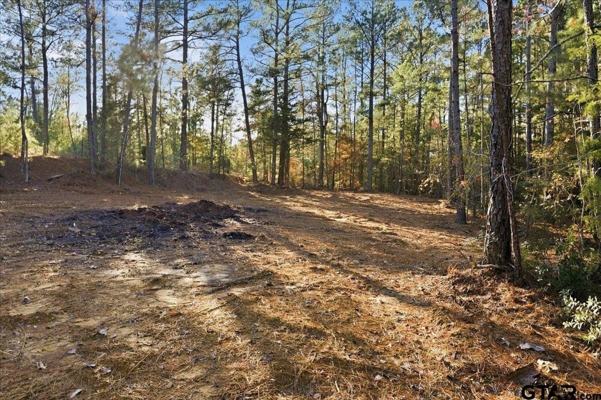 2.02 acres in Smith County - photo 8