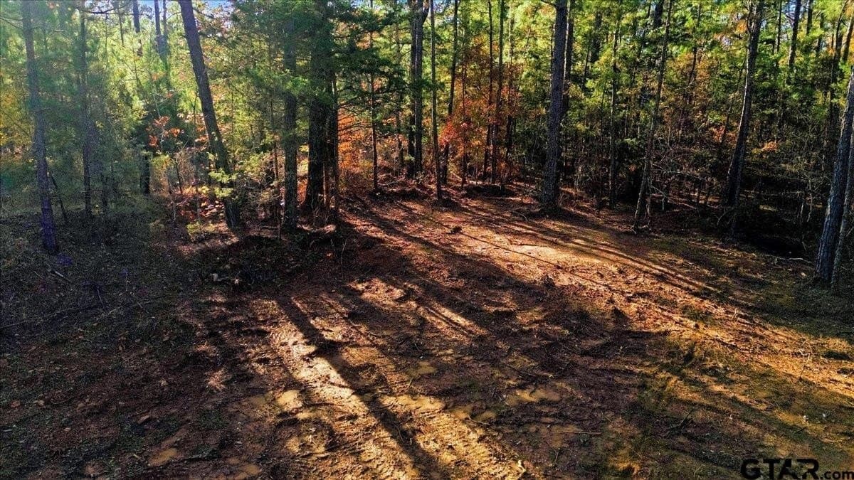 2.02 acres in Smith County - photo 19