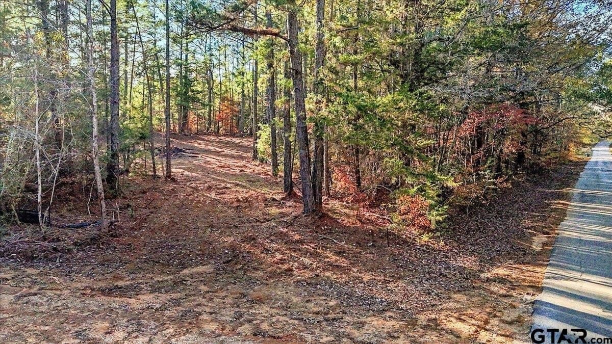 2.02 acres in Smith County - photo 29
