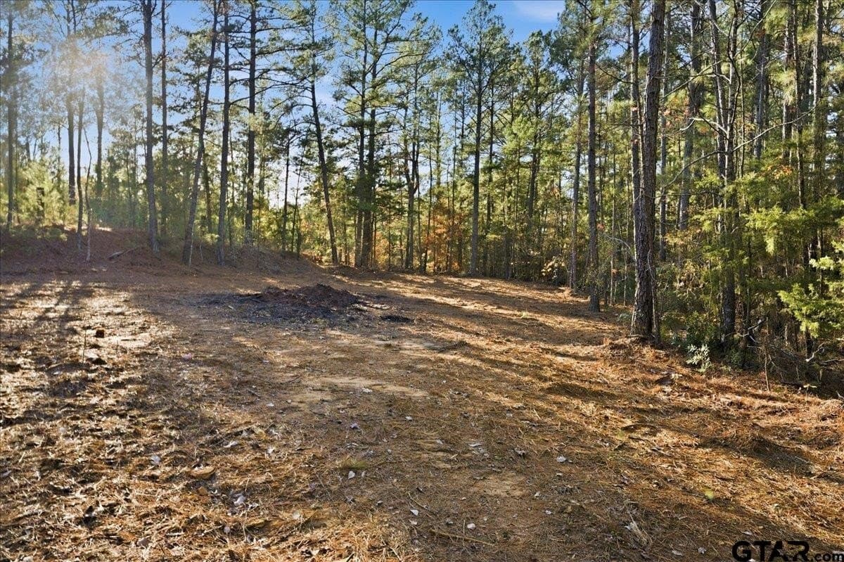 2.02 acres in Smith County - photo 4