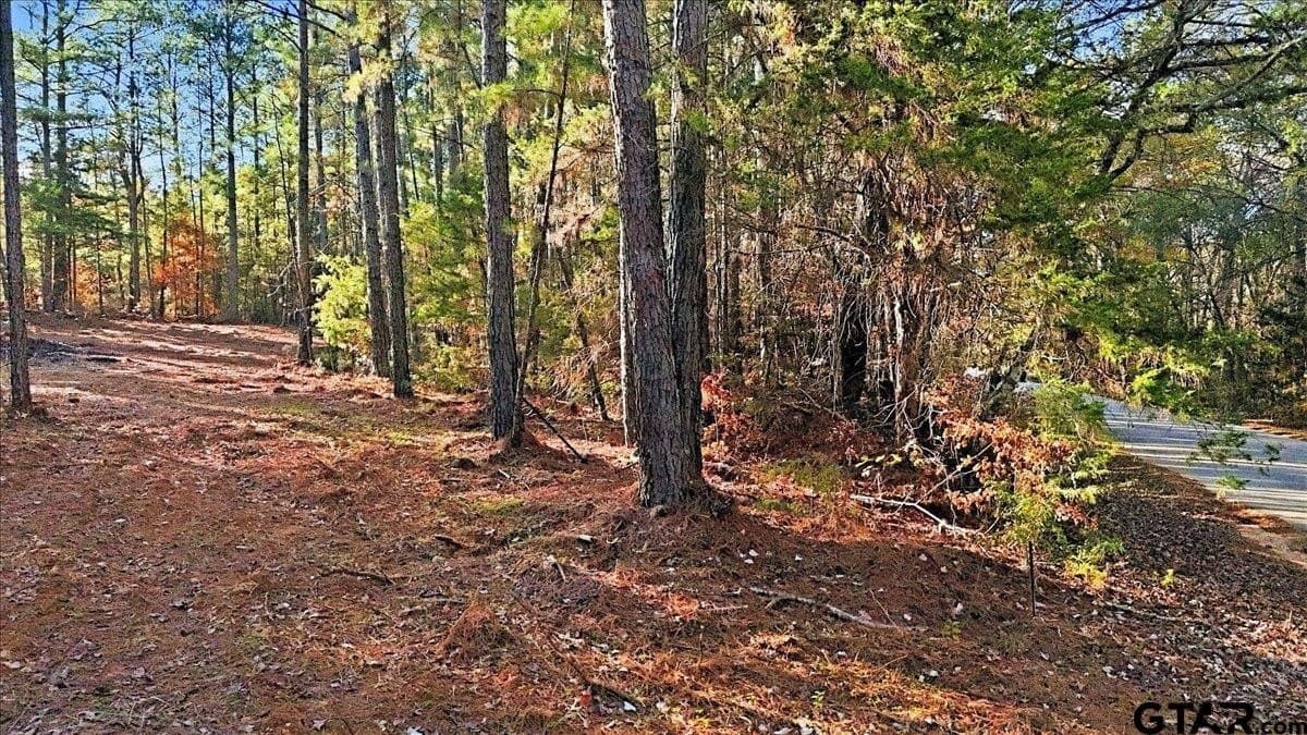 2.02 acres in Smith County - photo 28