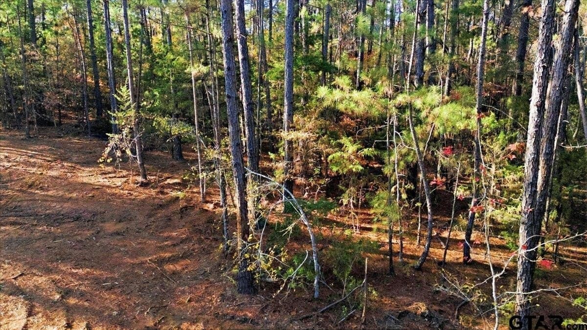 2.02 acres in Smith County - photo 15