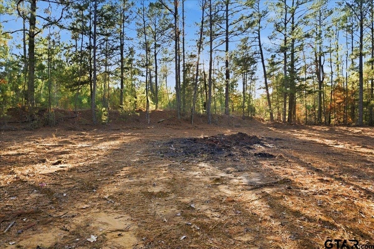 2.02 acres in Smith County - photo 6