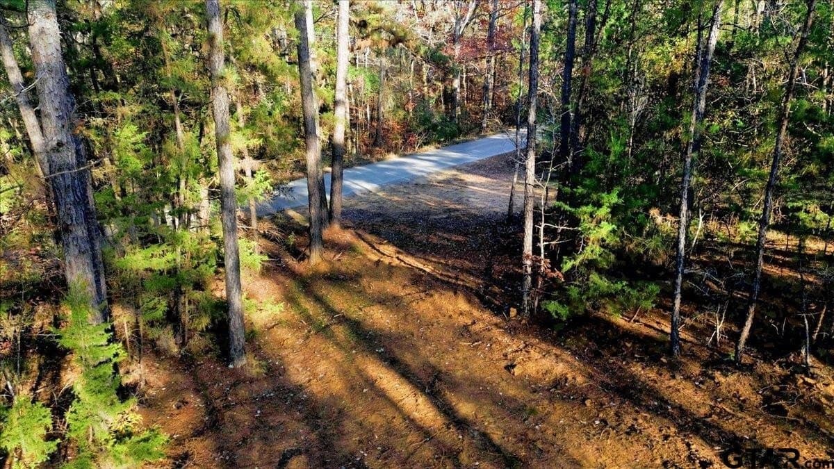 2.02 acres in Smith County - photo 18