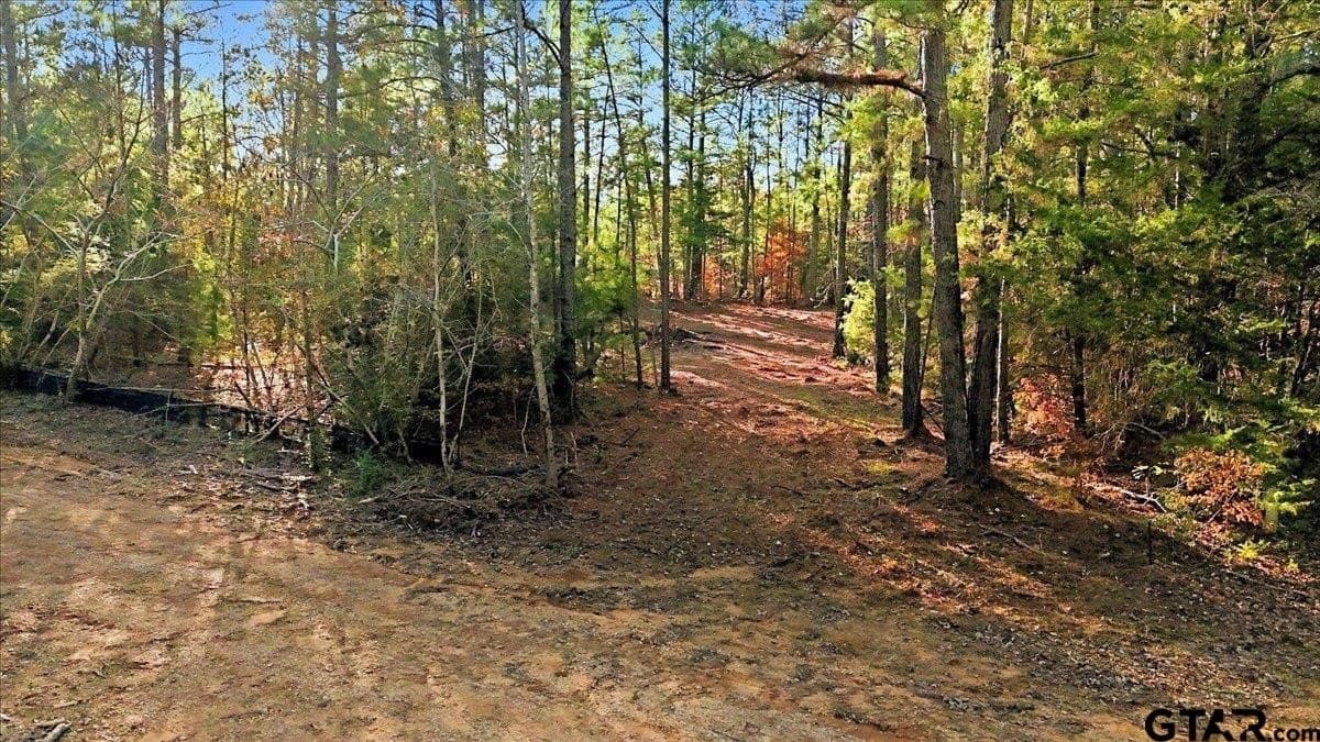 2.02 acres in Smith County - photo 30