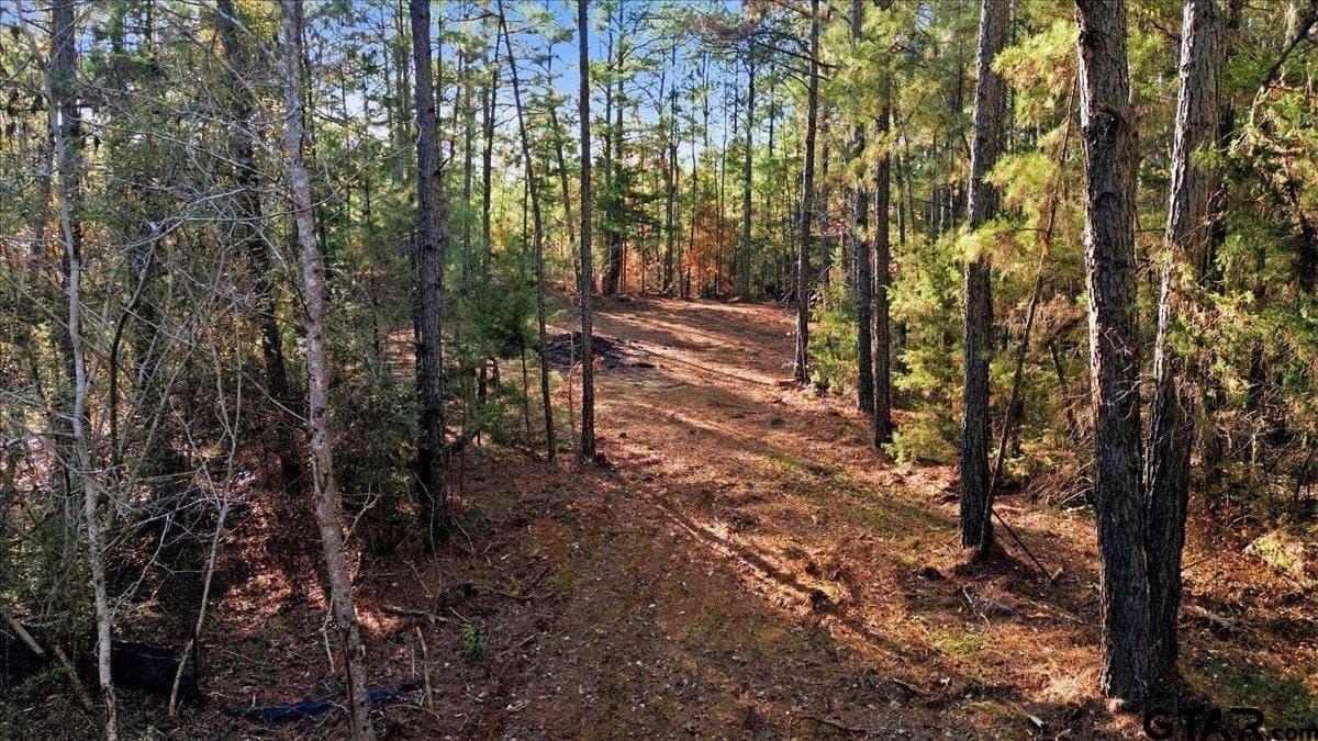 2.02 acres in Smith County - photo 10