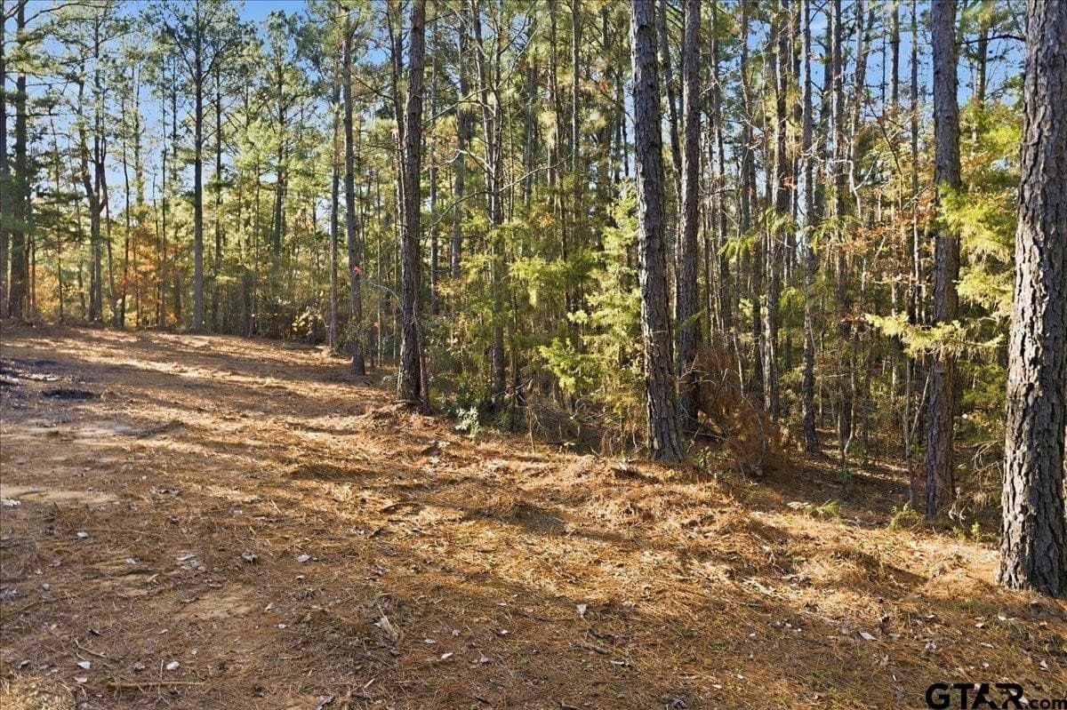 2.02 acres in Smith County - photo 5