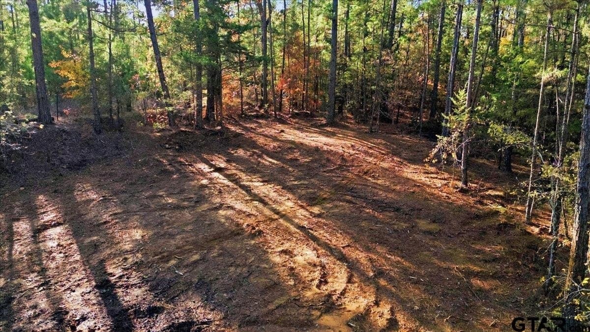 2.02 acres in Smith County - photo 14