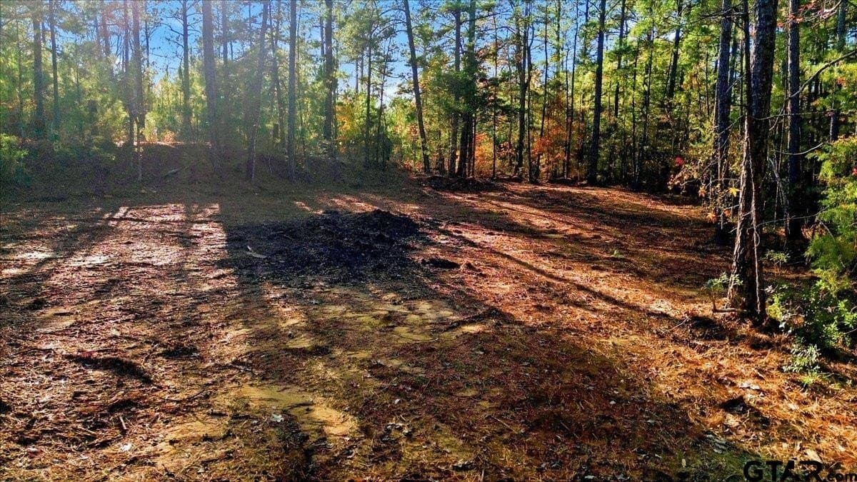 2.02 acres in Smith County - photo 12