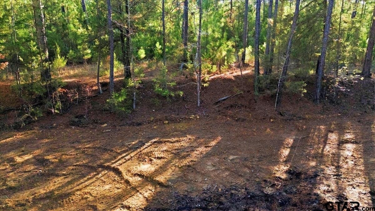 2.02 acres in Smith County - photo 16