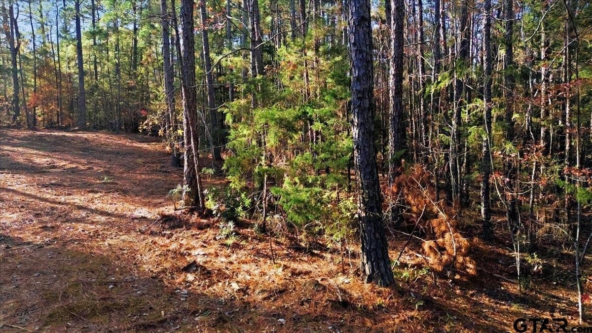 2.02 acres in Smith County - photo 13