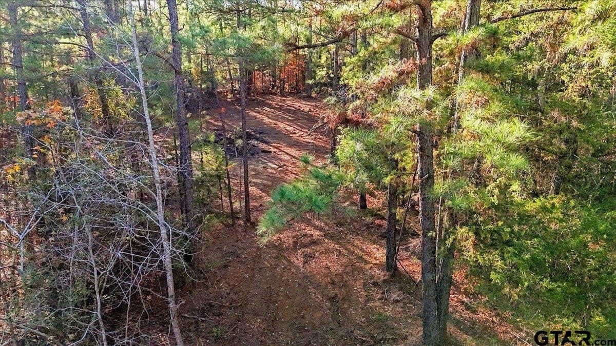 2.02 acres in Smith County - photo 25