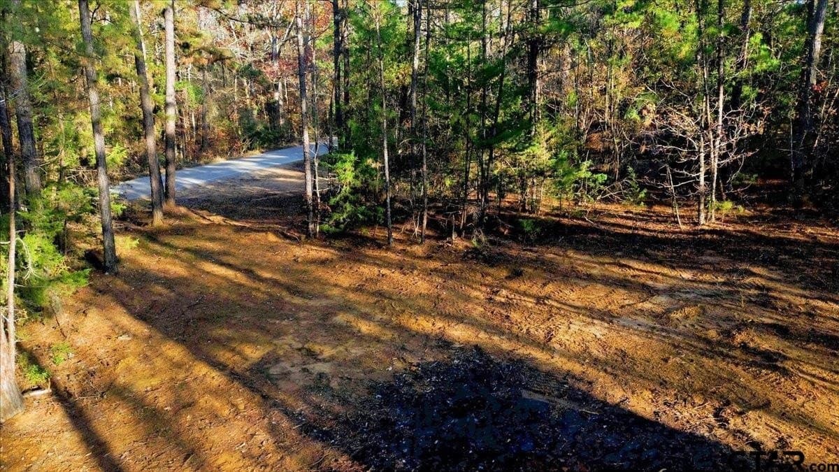 2.02 acres in Smith County - photo 21