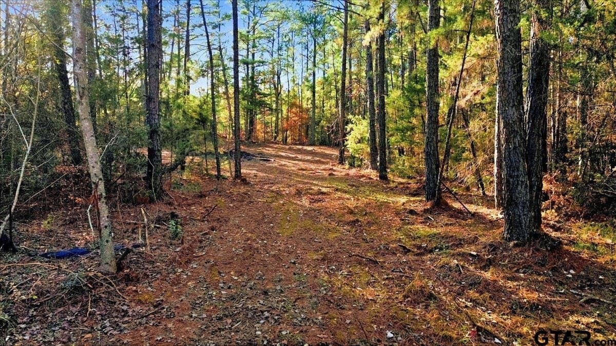 2.02 acres in Smith County - photo 26
