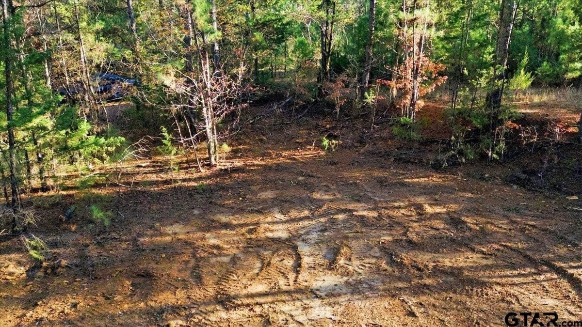 2.02 acres in Smith County - photo 3