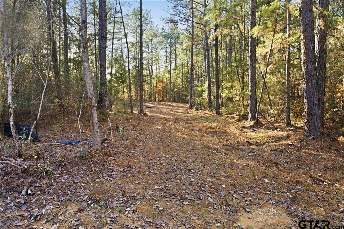 2.02 acres in Smith County - photo 9
