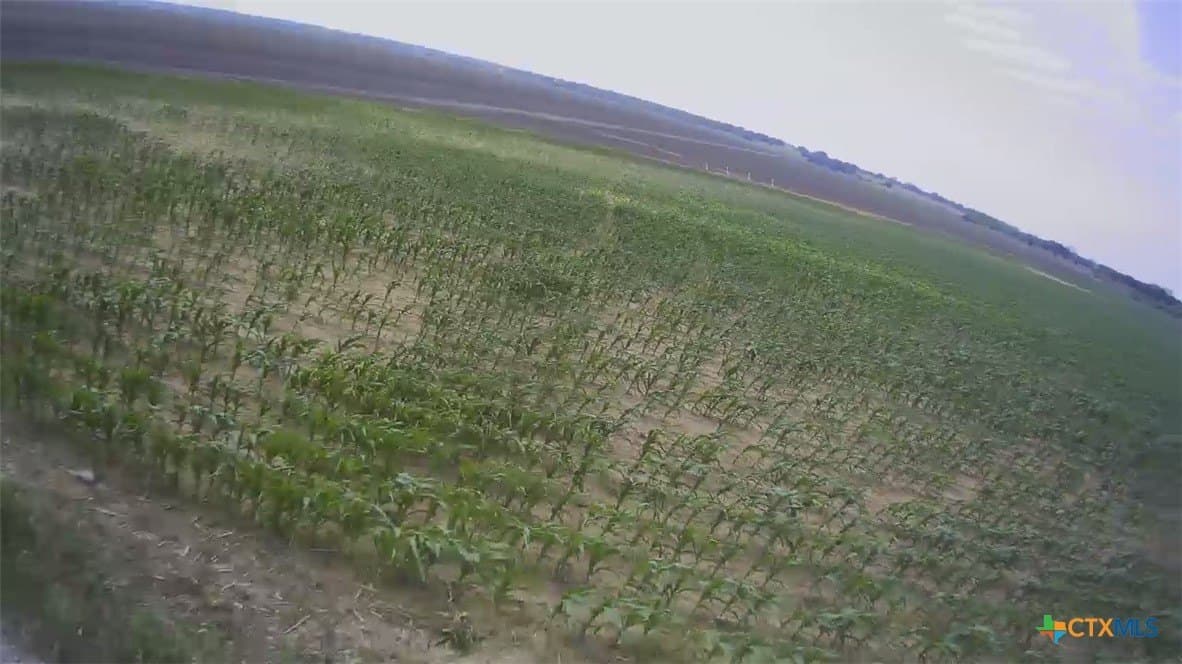 3 acres in Falls County - photo 11