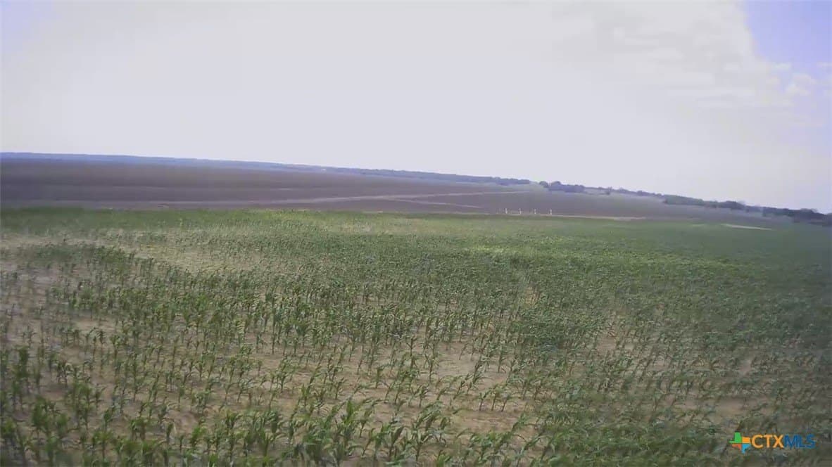 3 acres in Falls County - photo 7