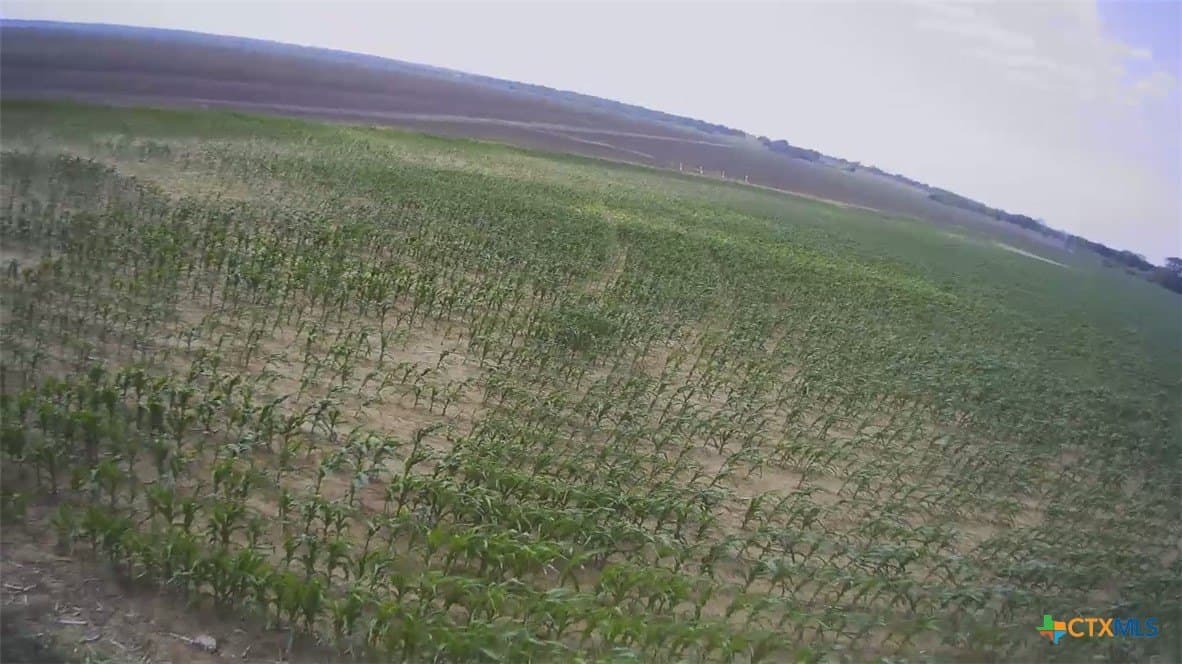 3 acres in Falls County - photo 10
