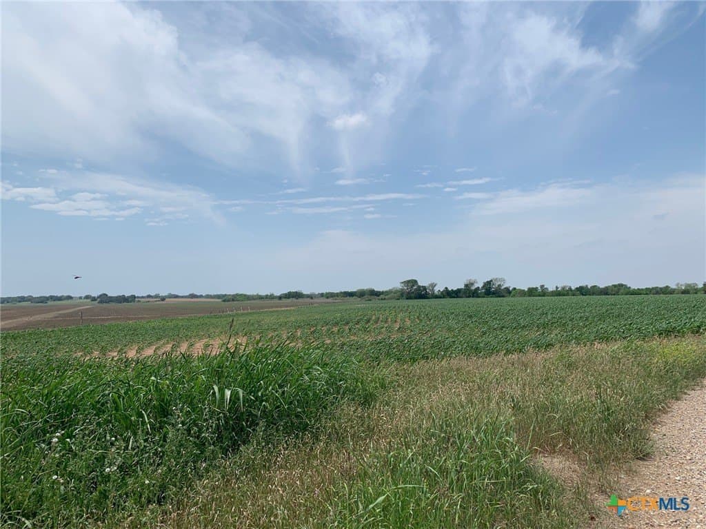 3 acres in Falls County - photo 6
