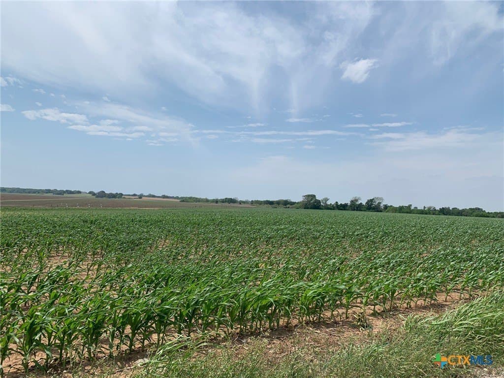 3 acres in Falls County - photo 3