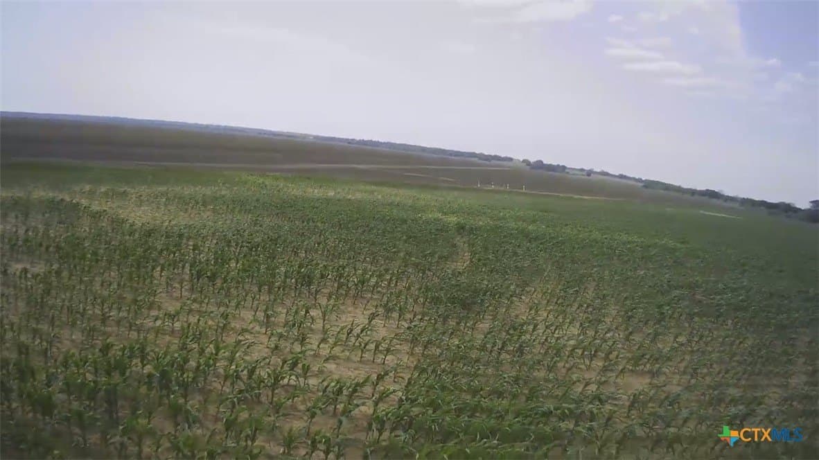 3 acres in Falls County - photo 9