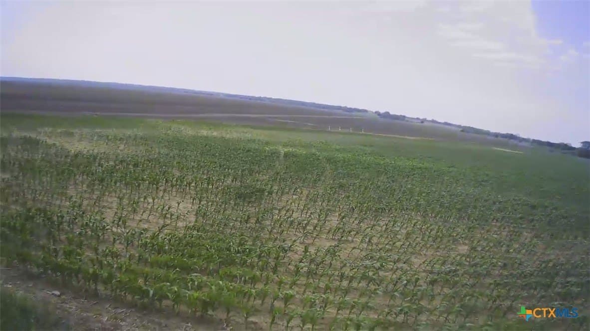 3 acres in Falls County - photo 12