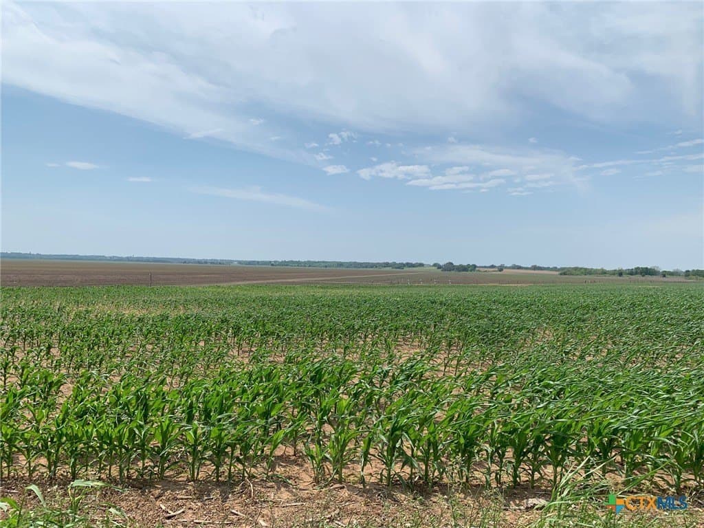 3 acres in Falls County - photo 2