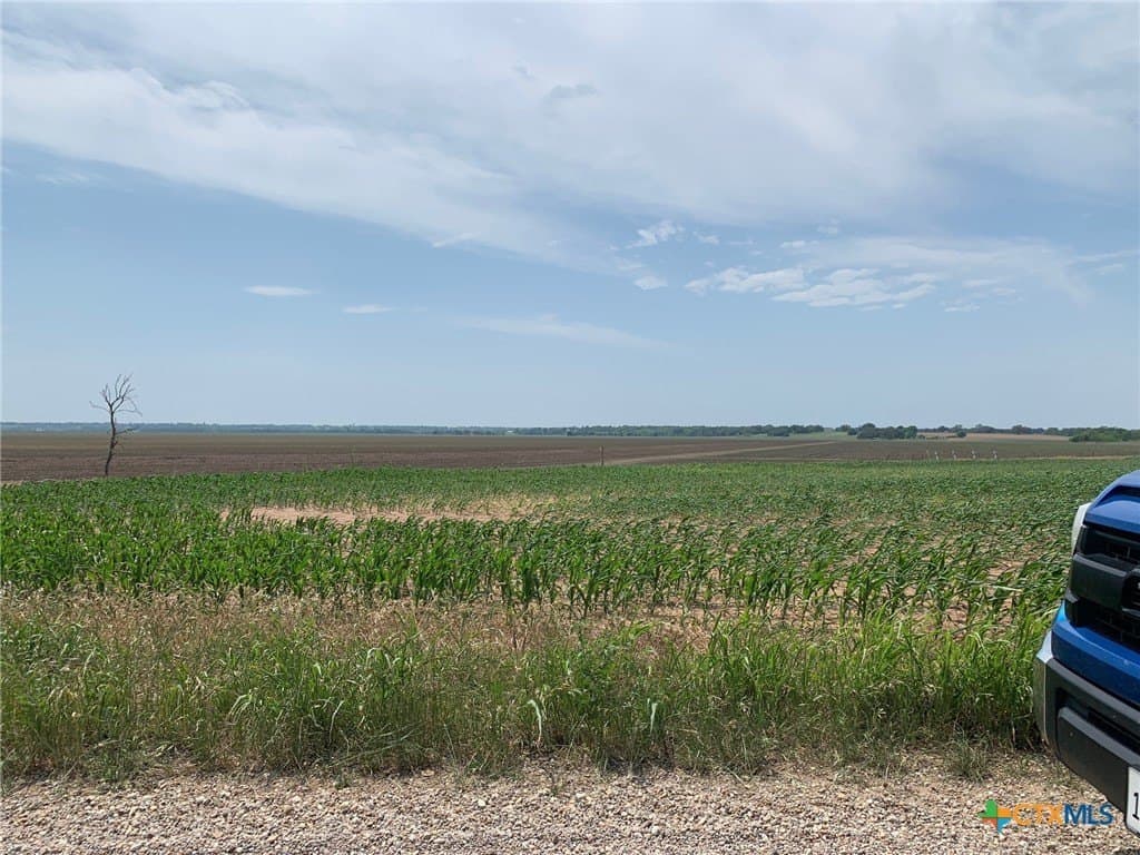 3 acres in Falls County - photo 4