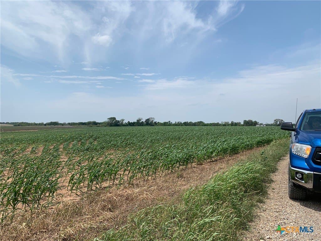 3 acres in Falls County - photo 5