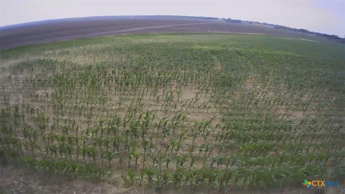 3 acres in Falls County - photo 8