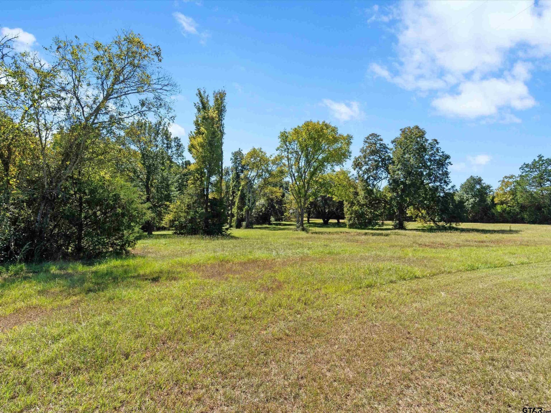 57 acres in Gregg County - photo 34