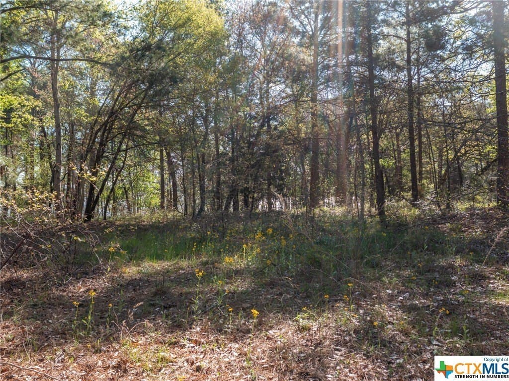 1.03 acres in Henderson County - photo 15