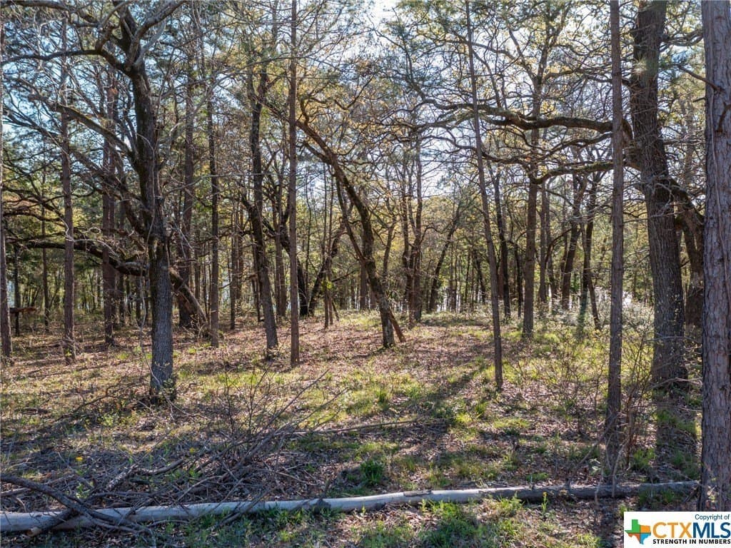 1.03 acres in Henderson County - photo 14